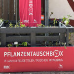 Pflanzentauschbox am Stadtmuseum