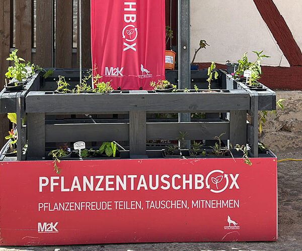 Pflanzentauschbox am Stadtmuseum