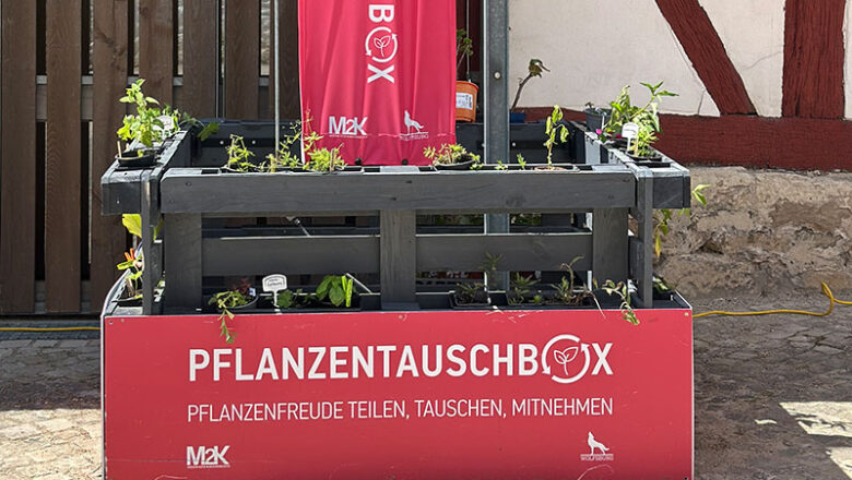 Pflanzentauschbox am Stadtmuseum