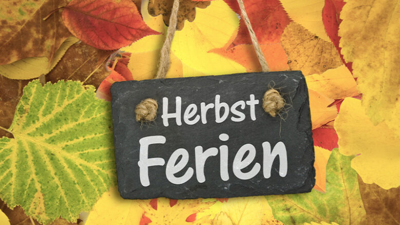 Herbstferienprogramm der Volkshochschule Wolfsburg: Kreativ und digital durchstarten