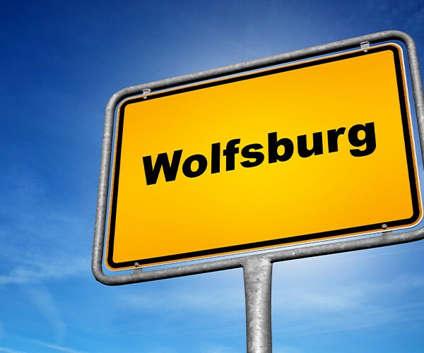 Rathaus wird zur Bühne für internationale Solidarität