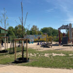 Neue Bäume für Kindertagesstätten