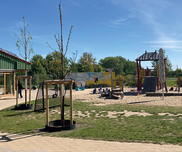 Neue Bäume für Kindertagesstätten