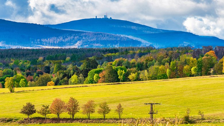 Auf Wandertouren oben im Harz den Herbst erleben
