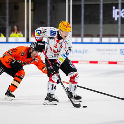 Grizzlys nehmen Ross Mauermann unter Vertrag