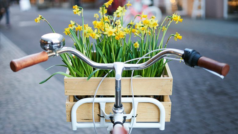 Frühlingsmarkt am Hansaplatz