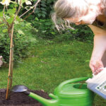 Mit Vorsprung ins nächste Gartenjahr