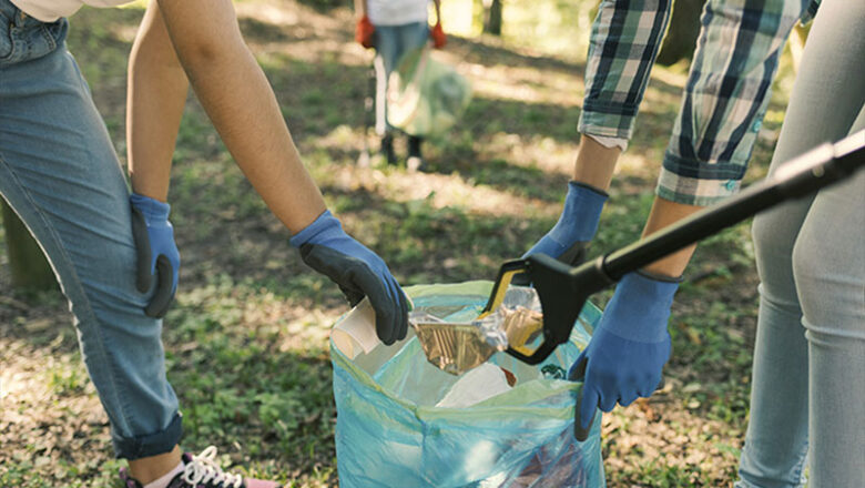 Waldputztag im Stadtwald
