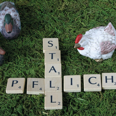 Stallpflicht für Bestände ab 50 Tieren