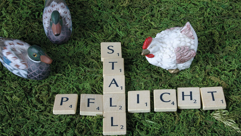 Stallpflicht für Bestände ab 50 Tieren