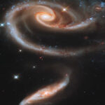 Frühlingsedition zum Valentinstag