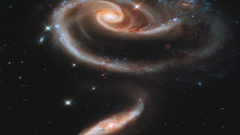 Frühlingsedition zum Valentinstag