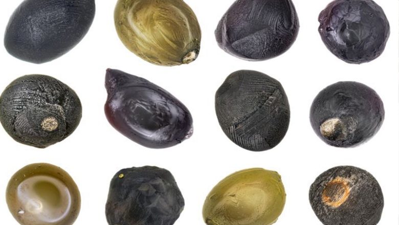 Mikrometeorite – Sternenstaub für Jeden