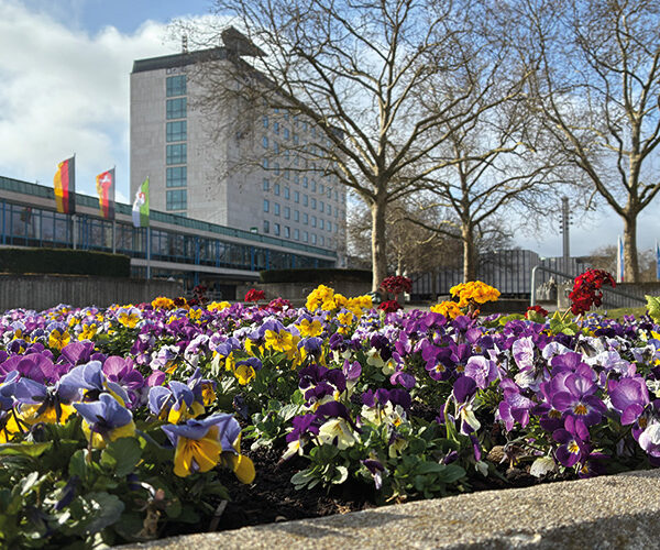 Wolfsburg blüht wieder auf