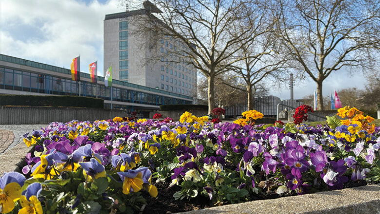 Wolfsburg blüht wieder auf